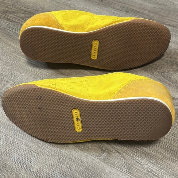 Coach - Picture 4 of 8